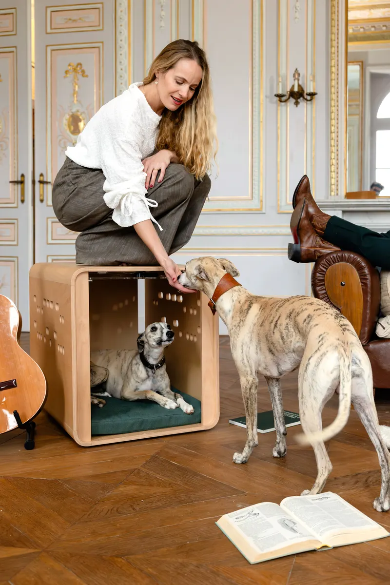 Sighthounds and woman interacting around the Chest