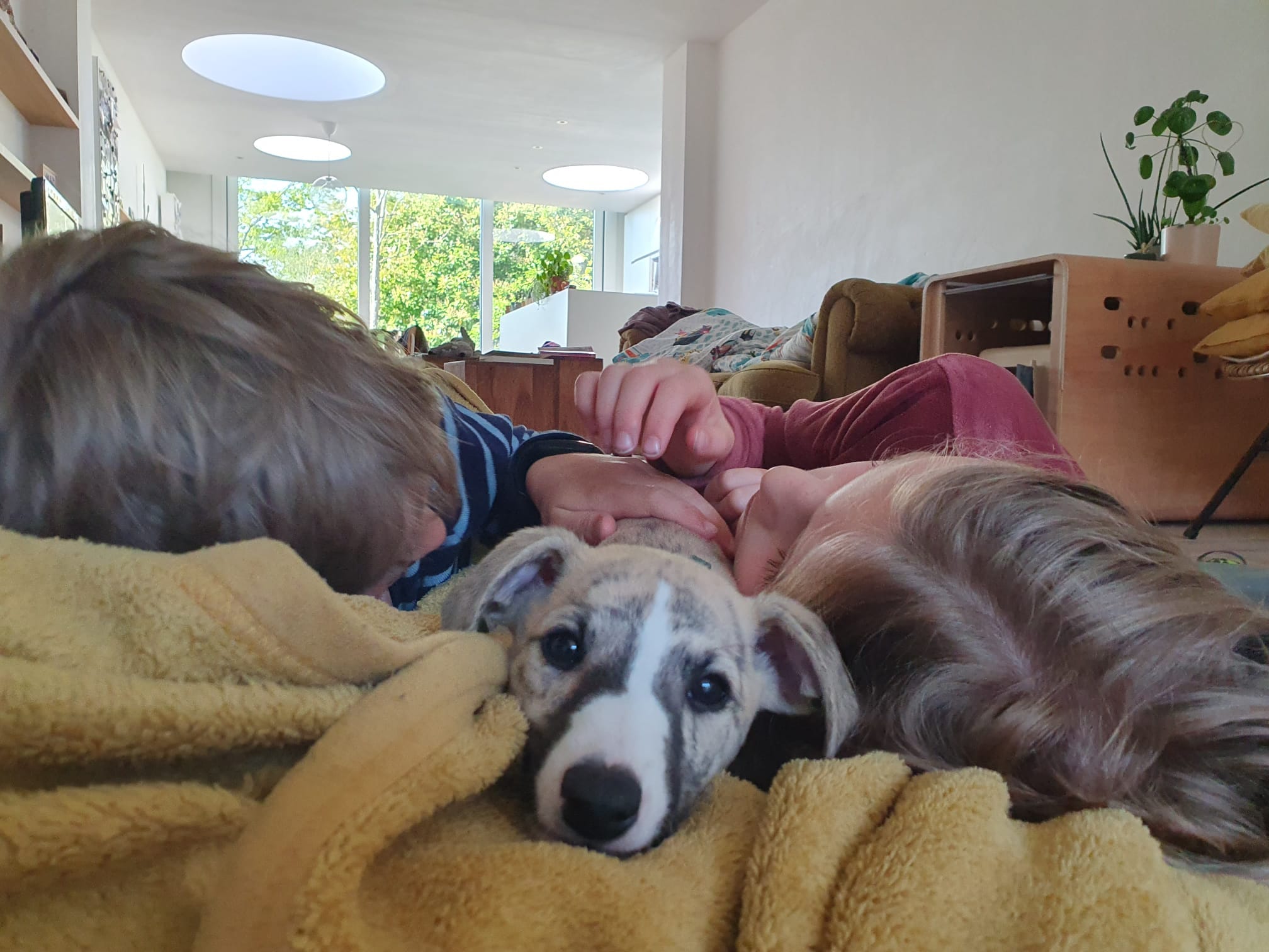 Puppy Charlie on her first day home